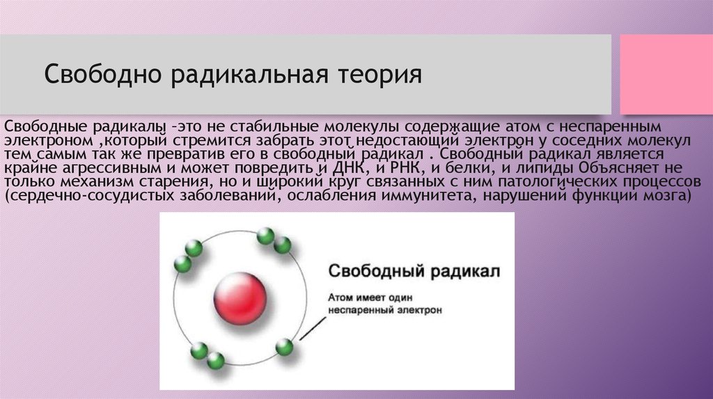 Теория свободной. Теория свободных радикалов старения. Свободнорадикальная теория старения. Гипотеза свободных радикалов. Радикальная теория.