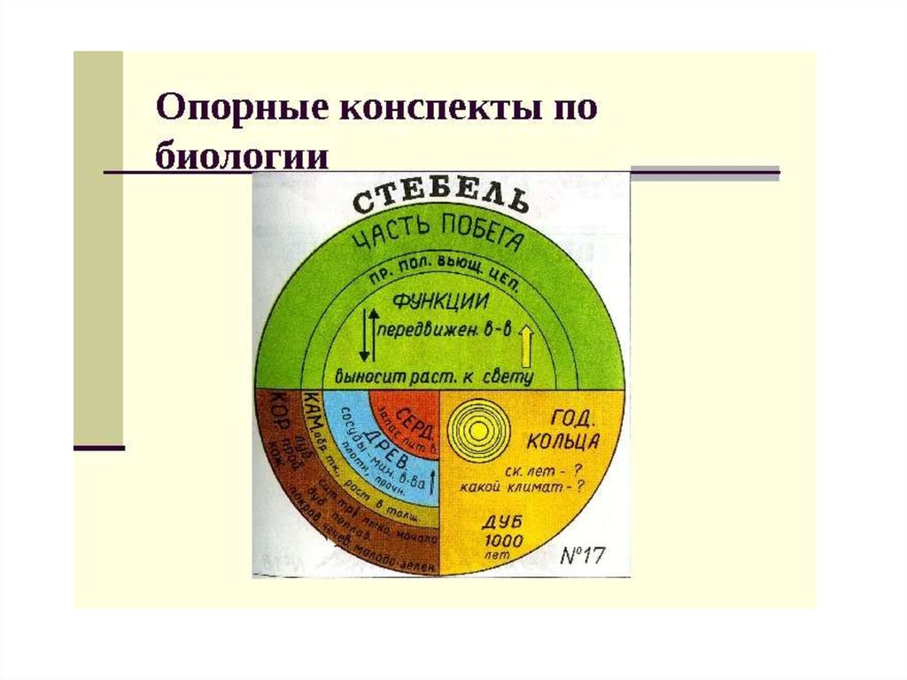 Конспект по биологии 6. Опорный конспект по биологии. Конспекты по биологии. Опорный конспект по биологии 6 класс. Пример опорного конспекта по биологии.