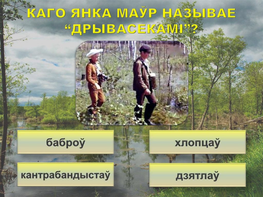 Каго янка маўр называе “дрывасекамі”?
