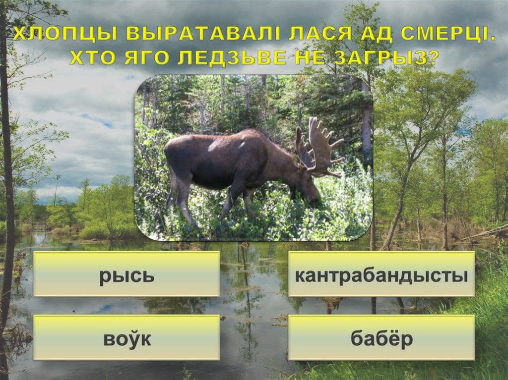 Хлопцы выратавалі лася ад смерці. Хто яго ледзьве не загрыз?