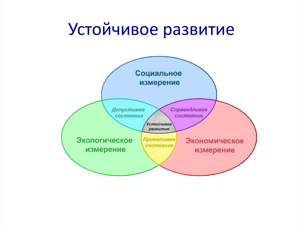 Руководители устойчивого развития