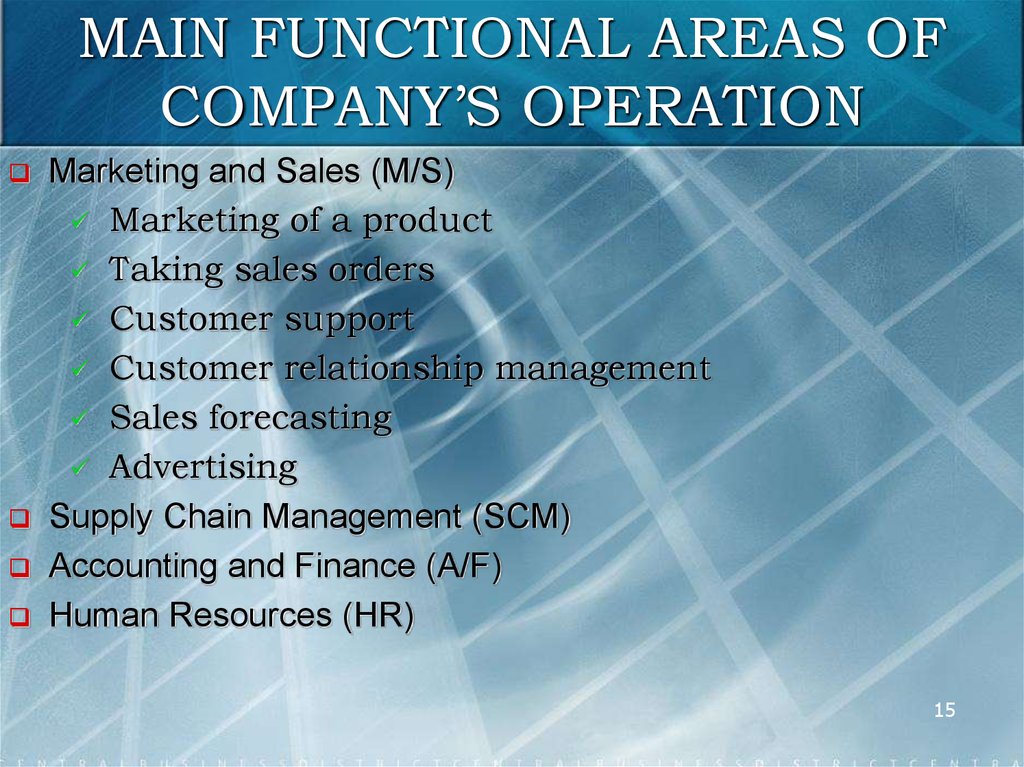 MAIN FUNCTIONAL AREAS OF COMPANY’S OPERATION