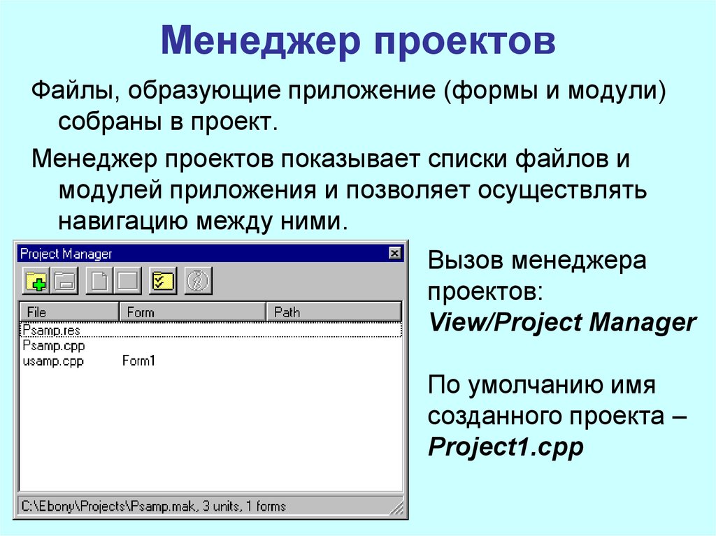 Файл для проекта. Форма программы. Форма приложения. Модули приложения.