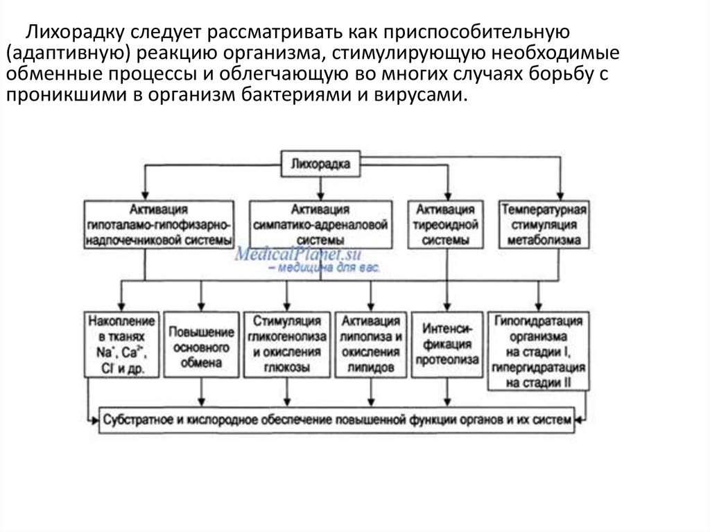 Схему защитно приспособительных механизмов организма при умирании