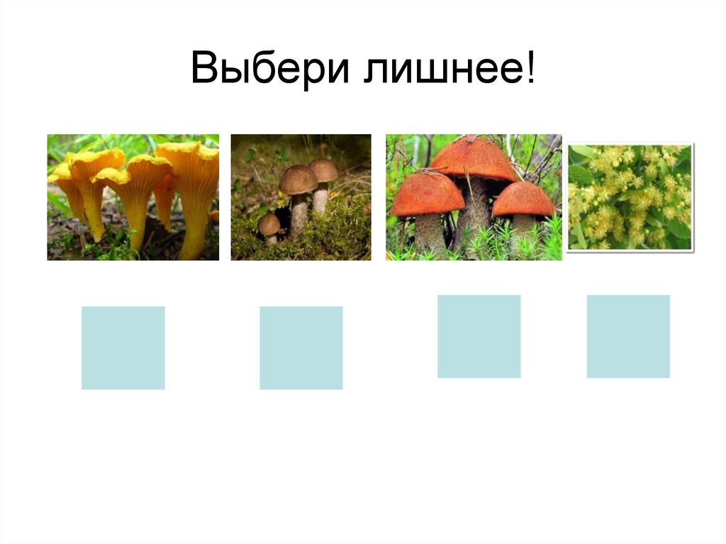 Выберите лишнее. Проект это 5 выберите лишнее. Среди перечисленных видов семей выберете лишнее.