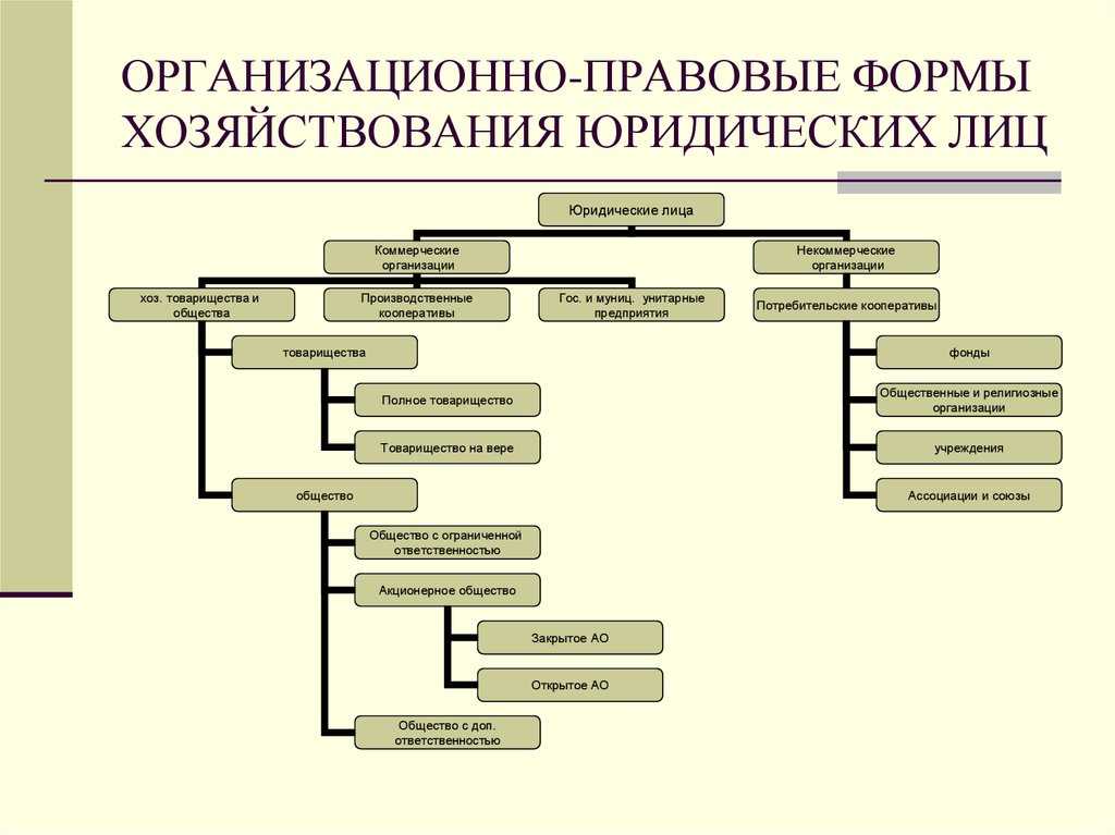 Организационно правовые формы организаций закон