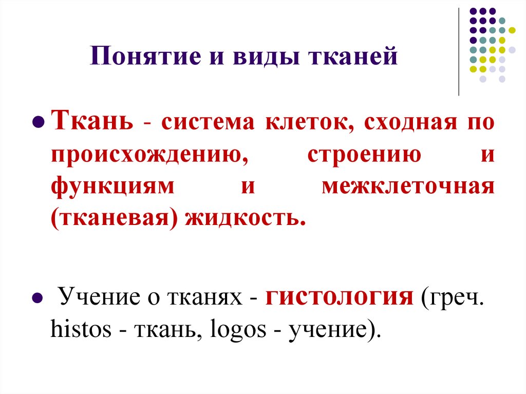 Дайте понятие типа. Понятие о тканях. Понятие ткани в анатомии. Понятие о тканях их классификация. Понятие о тканях и их строение.