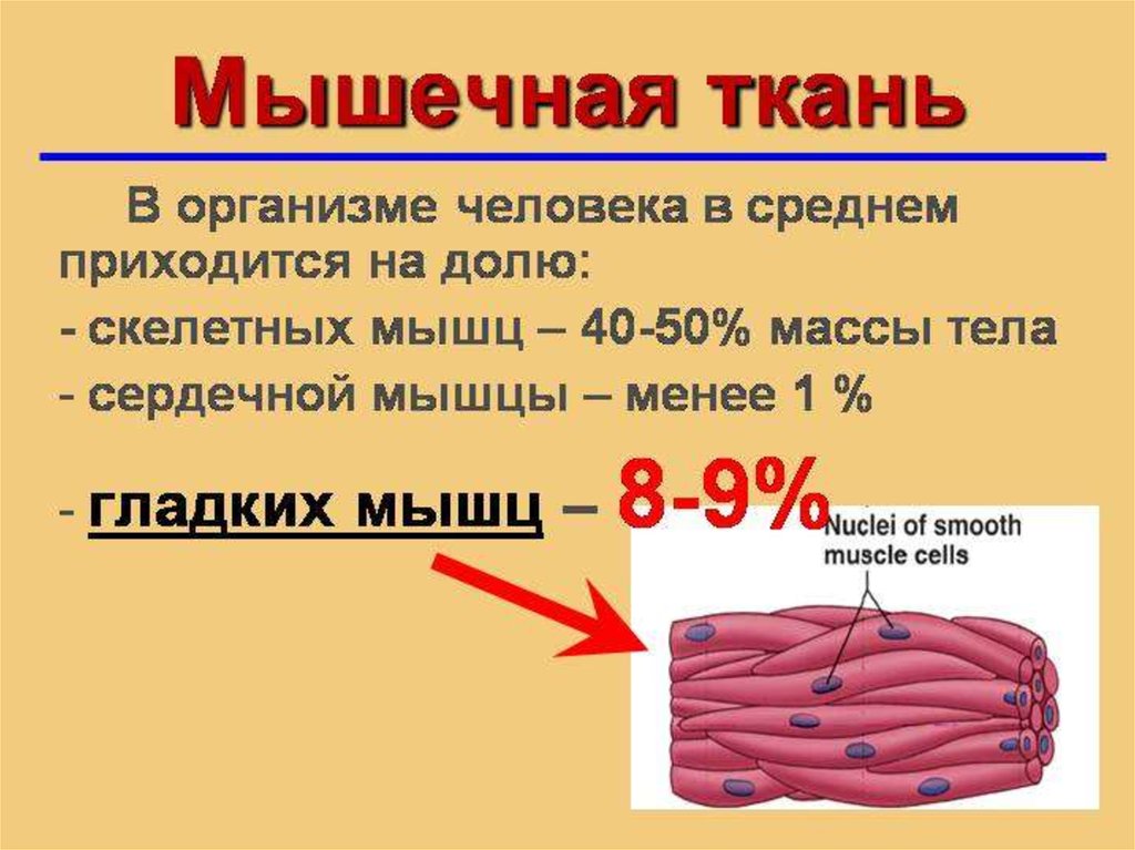 Напряжение мышечной ткани