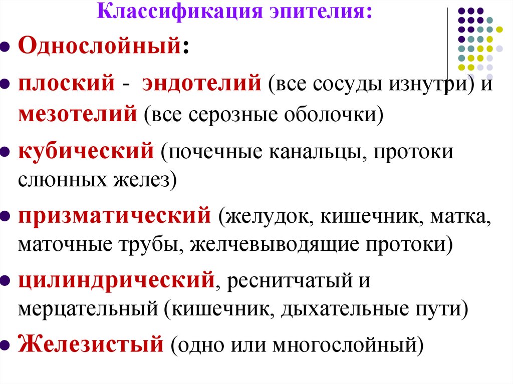 Функции эпителия. Классификация эпителия гистология. Классификация эпителиальной ткани. Эпителиальные ткани якасс. Классификация многослойного эпителия.