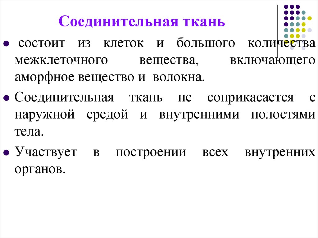 Функции соединительной ткани. Какая соединительная ткань соприкасается с наружной средой.