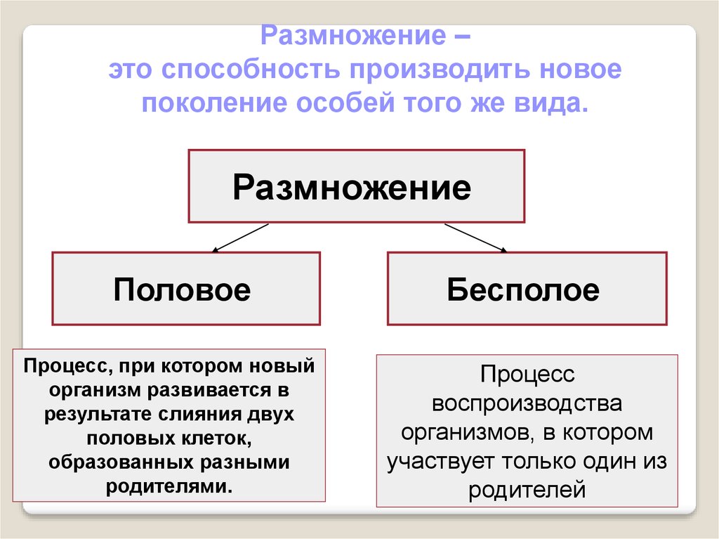 Половое размножение презентация 10 класс