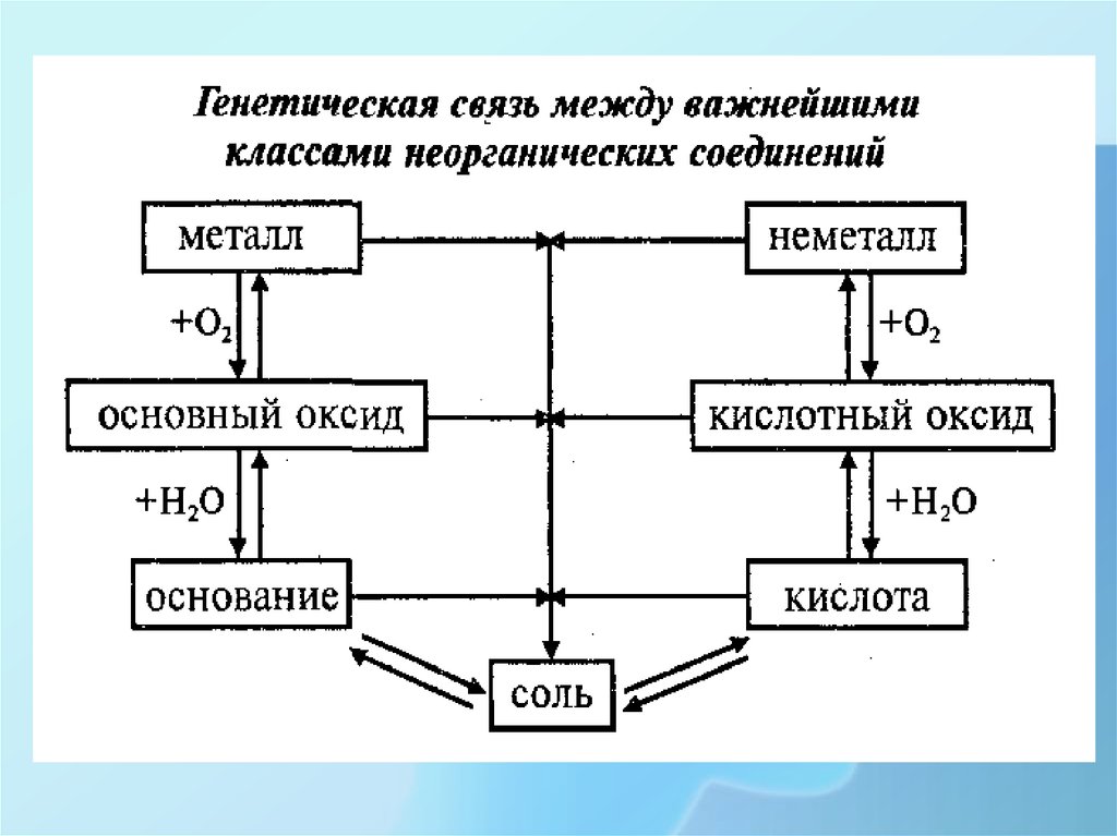 Генетическая связь презентация