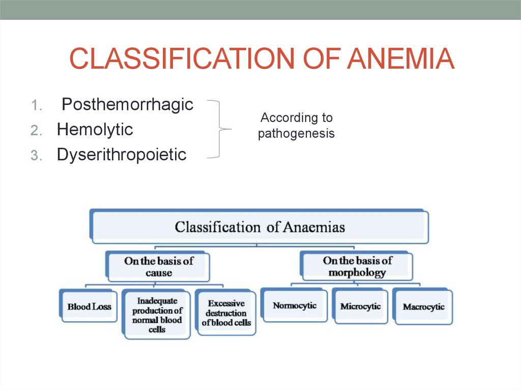 Classification of anemia.