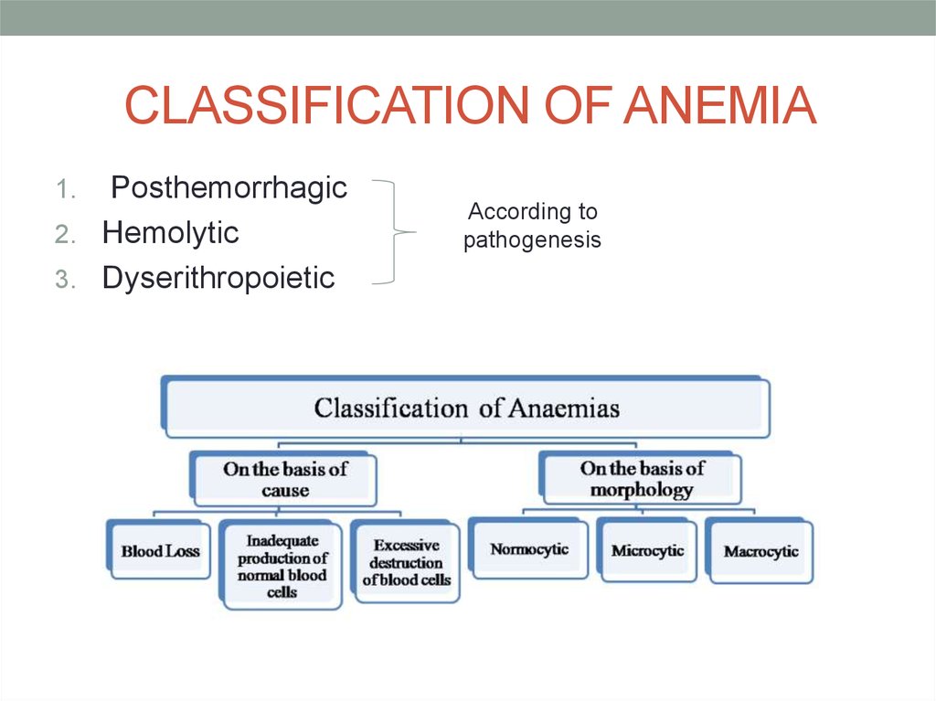 Classification Of Anemia Chart