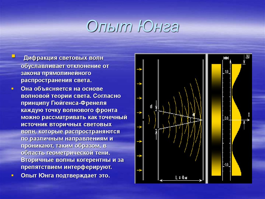 На интерференционной картине светлые полосы образуются волнами исходящими от разных источников света