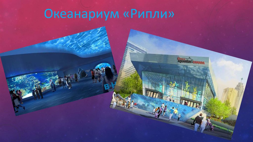 Город Торонто в Канаде презентация онлайн