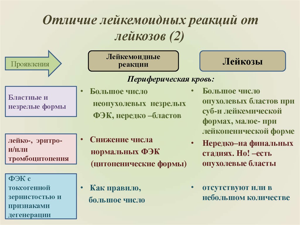 Дифференциальная диагностика лейкозов презентация - 92 фото