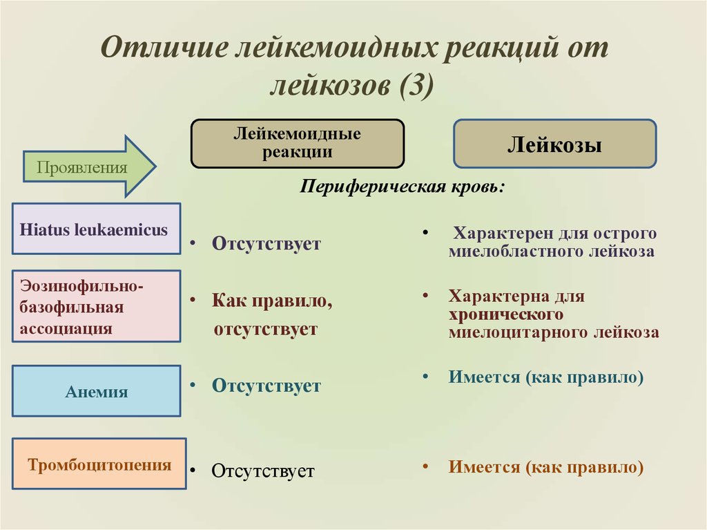 Лейкозы лейкемоидные реакции