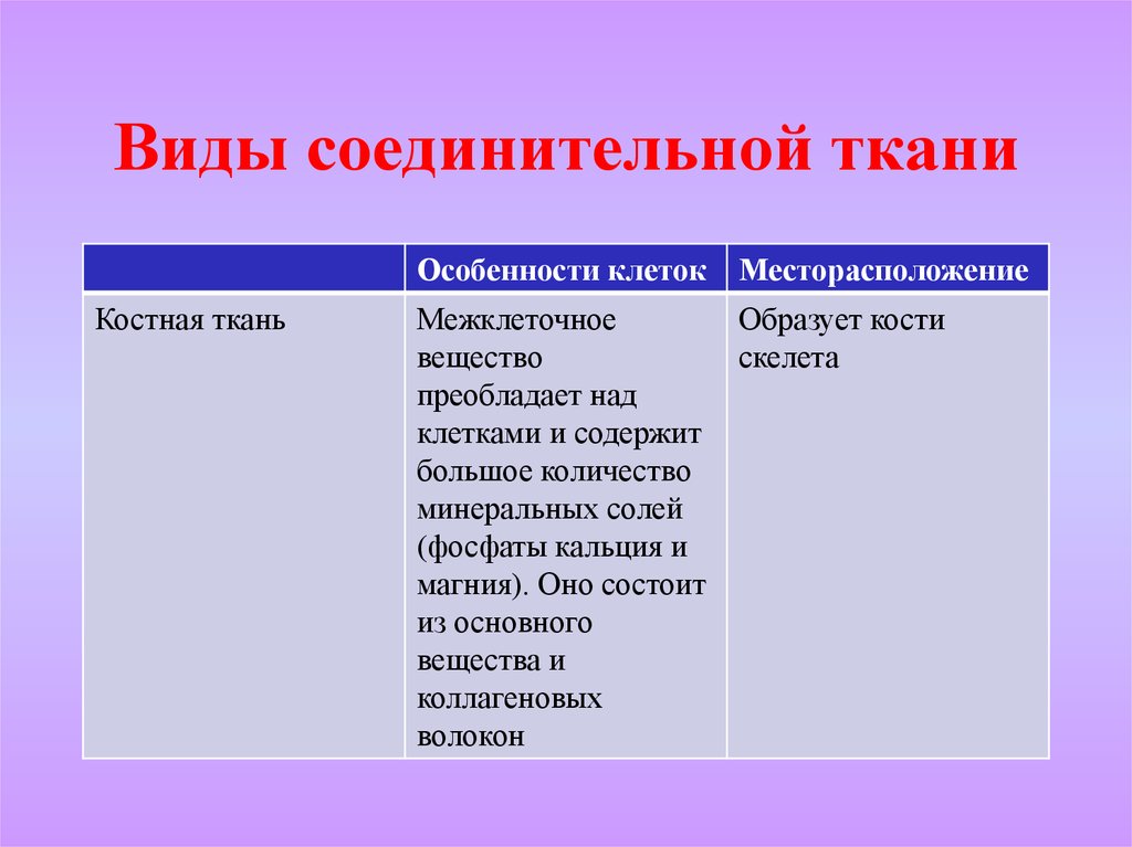 Какой тип ткани преобладает в скелете