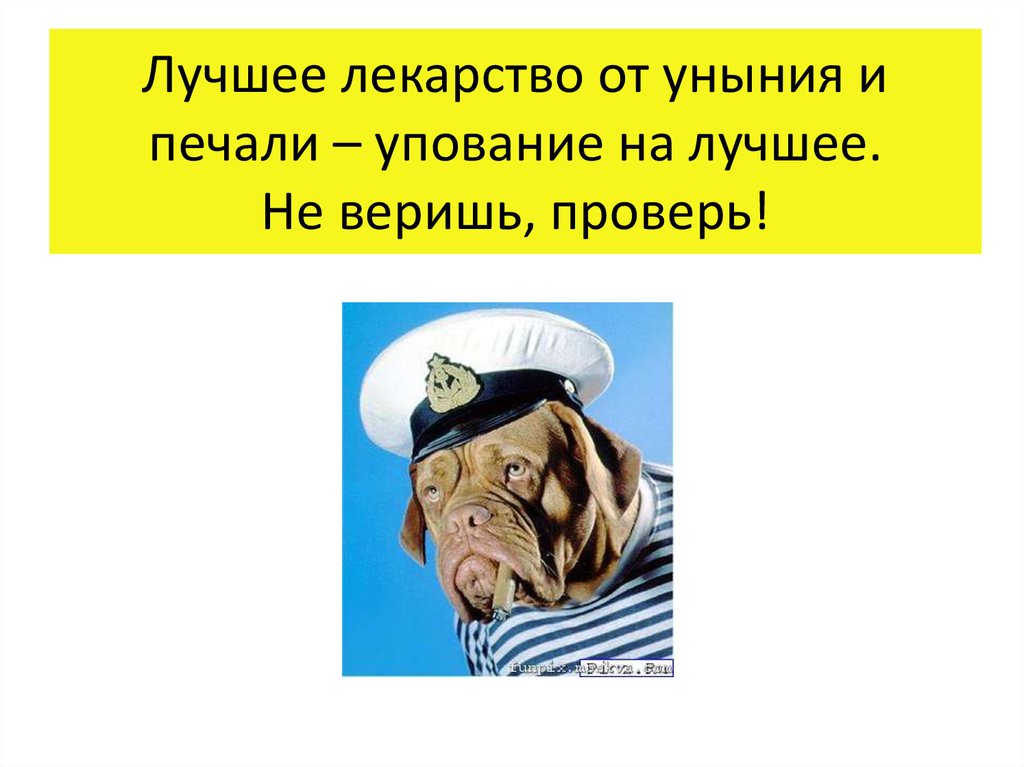 День уныния. Лучшее средство от уныния. Лекарство от уныния. День запрета на уныние. День защиты от уныния.