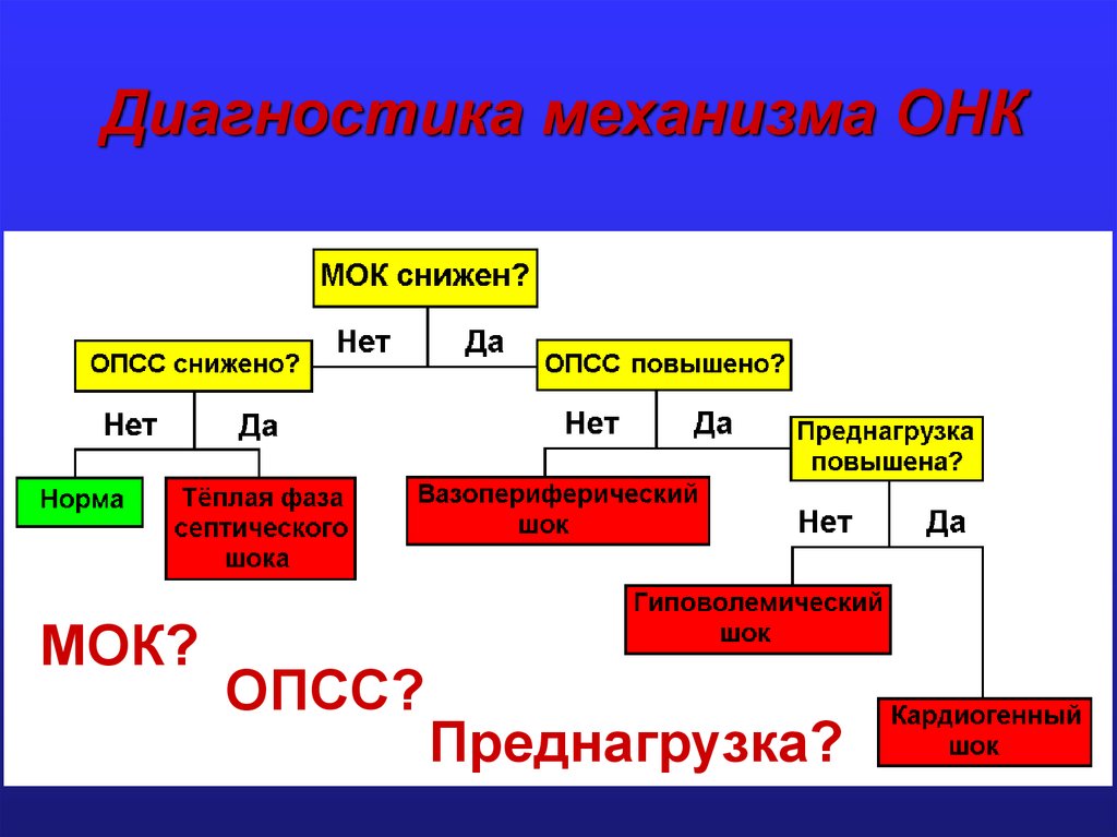 Онк новый проект