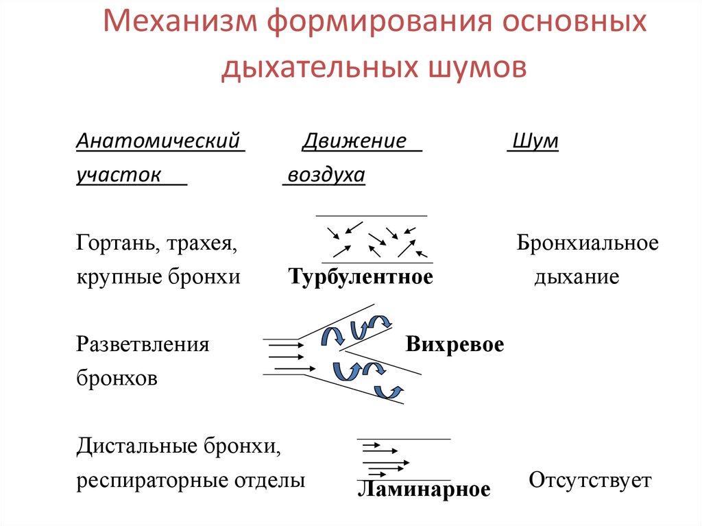 Дыхательные шумы. Побочные дыхательные шумы схема. Механизм образования дыхательных шумов. Основные и патологические дыхательные шумы. Механизм возникновения основных дыхательных шумов.