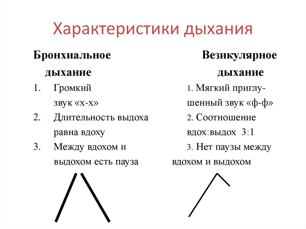 Характеристика дыхательных движений