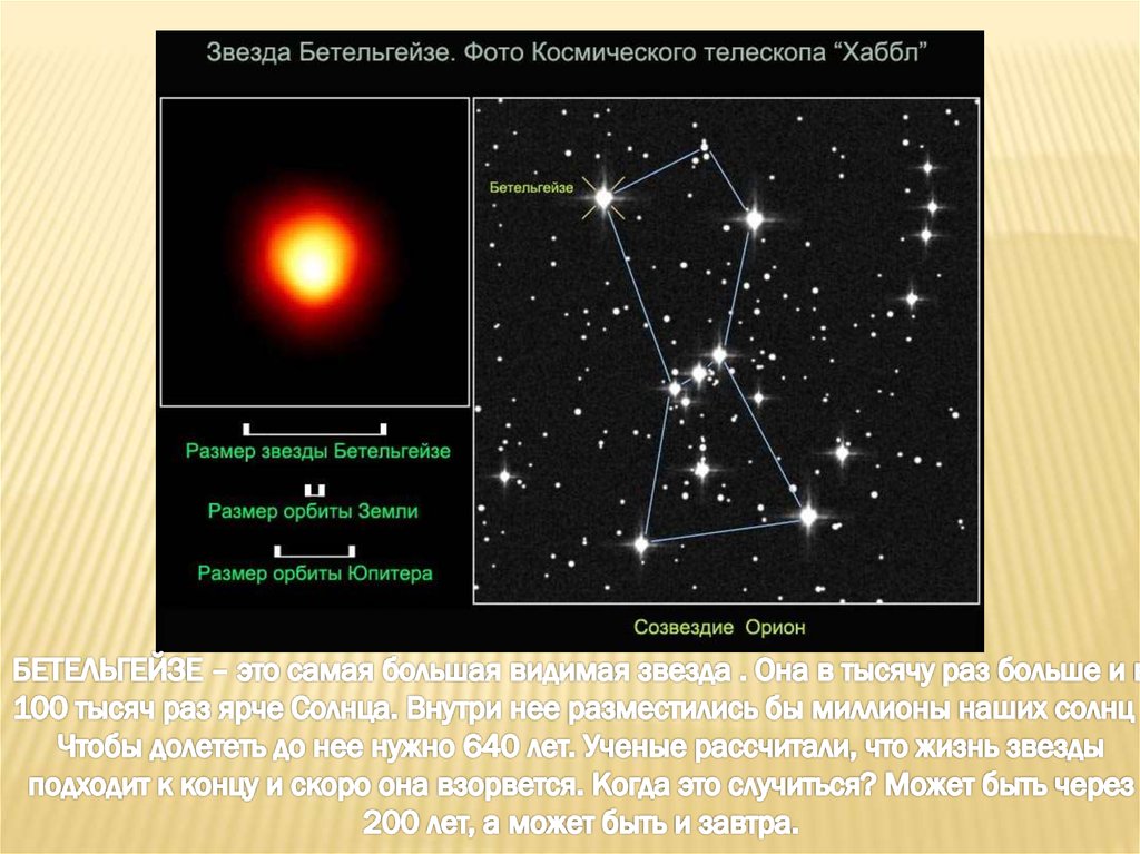 Звезда ригель презентация