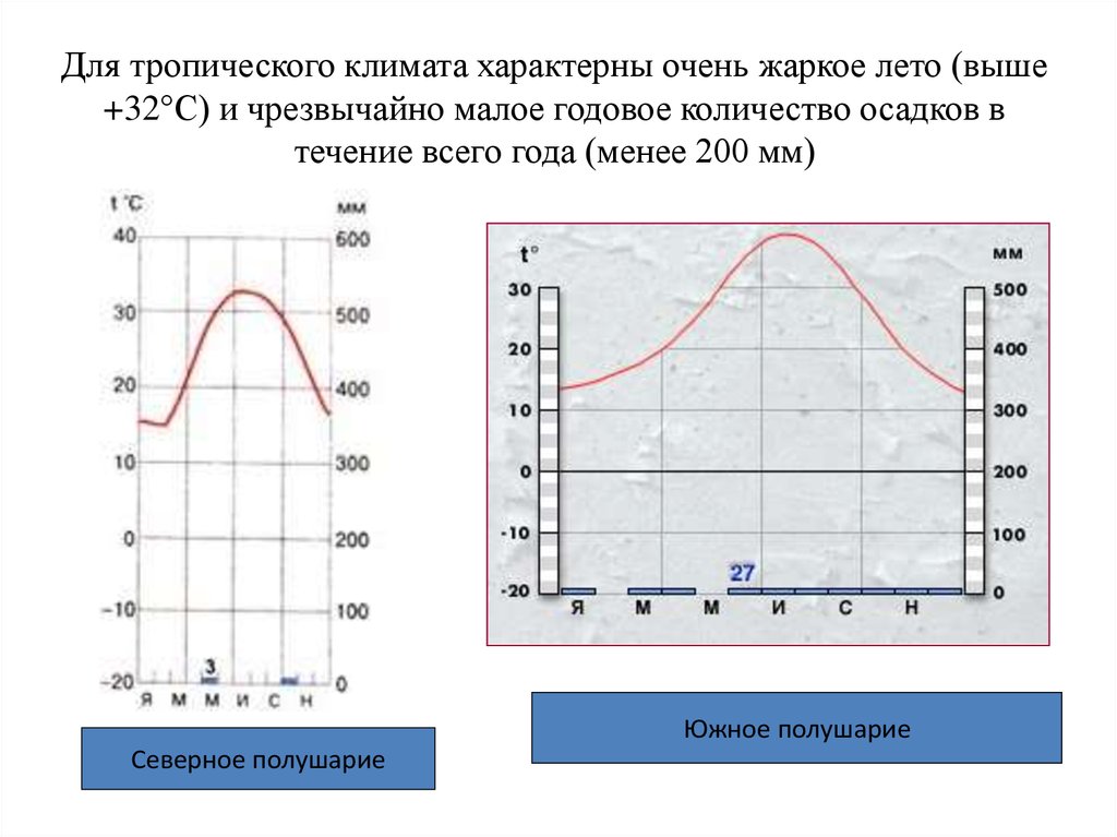 Климатическая диаграмма тропического засушливого типа климата северного полушария