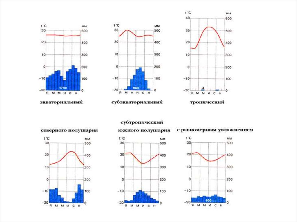 Климатограмма экваториального пояса. Климатограмма субтропического пояса. Климатограмма субэкваториального пояса Северного полушария. Климатограмма субэкваториального пояса Южной. Климатограмма Северного полушария.
