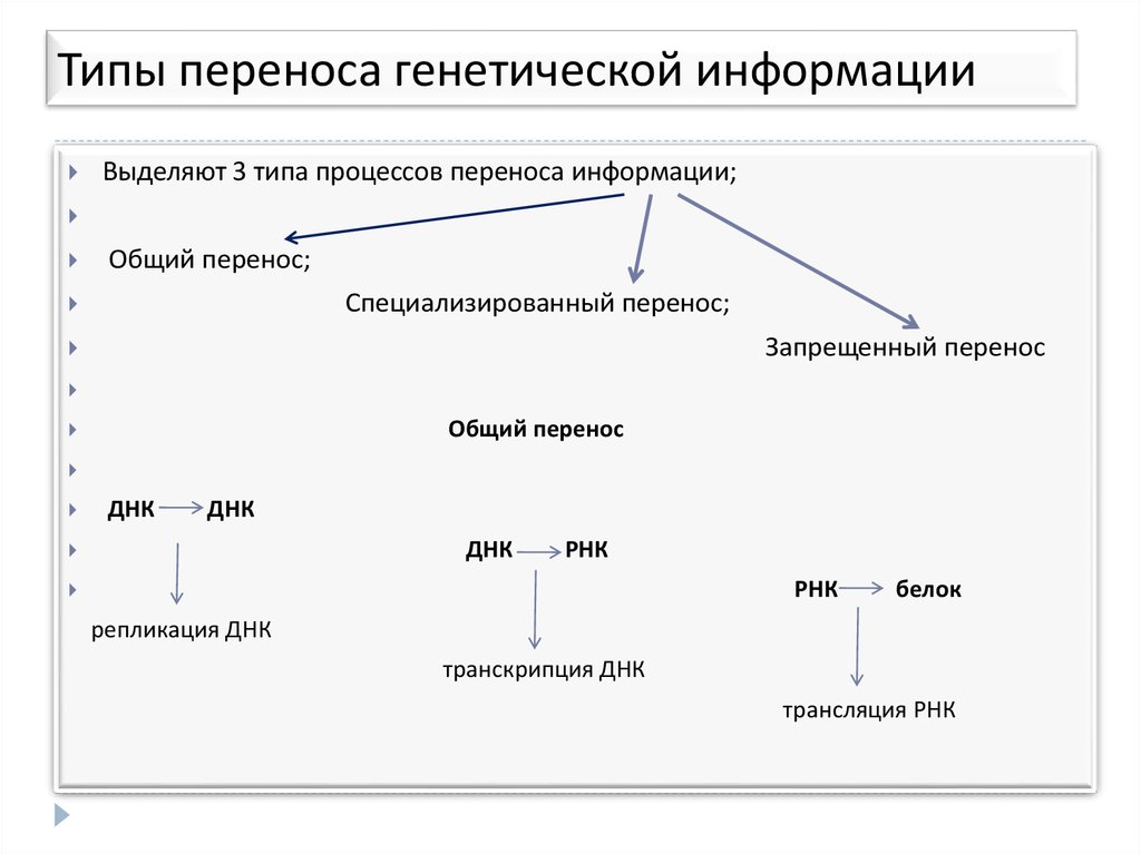 Процессу реализации генетической информации отвечает схема