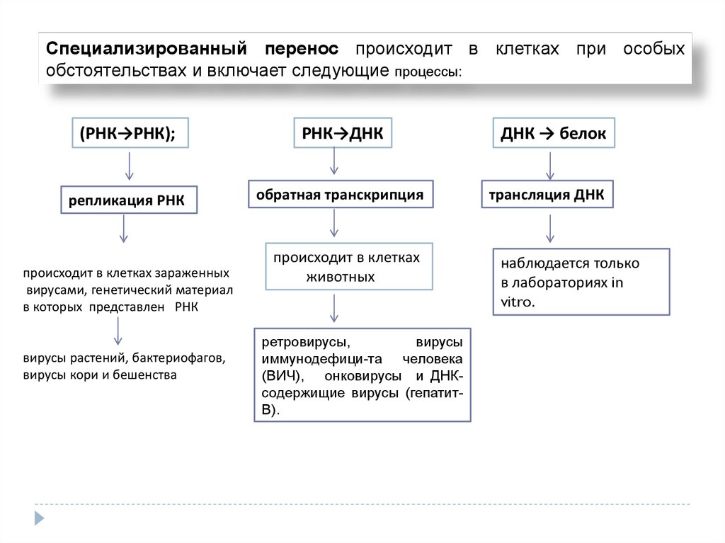 Рассмотрите предложенную схему классификации реакций матричного синтеза