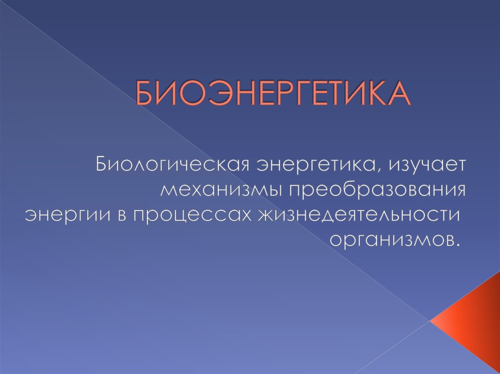 БИОЭНЕРГЕТИКА