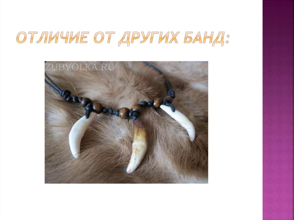 Отличие от других банд: