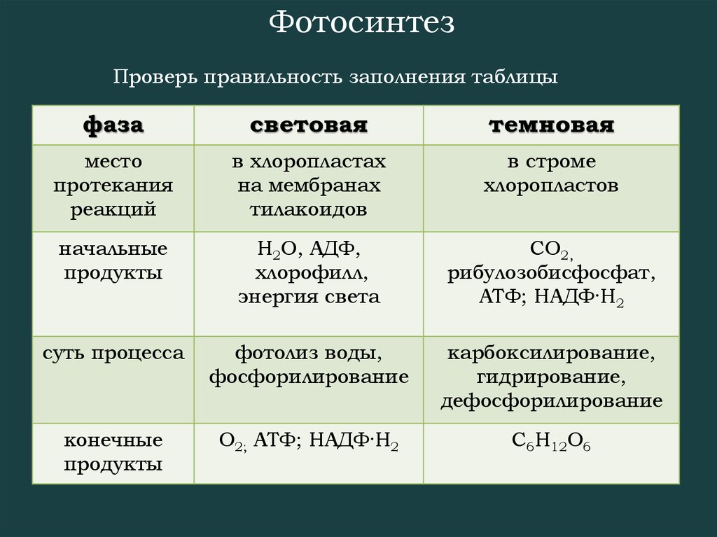 Взаимосвязь дыхания и фотосинтеза таблица