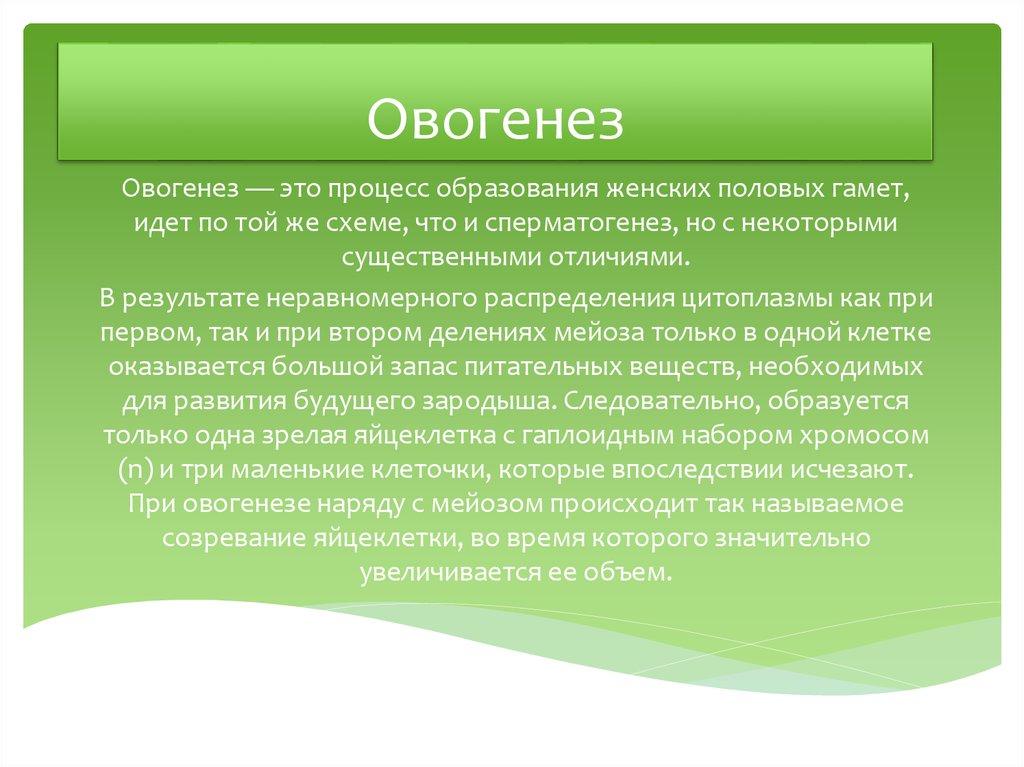 Овогенез. Овогнезез. Овогенез кратко. Овогенез процесс образования.