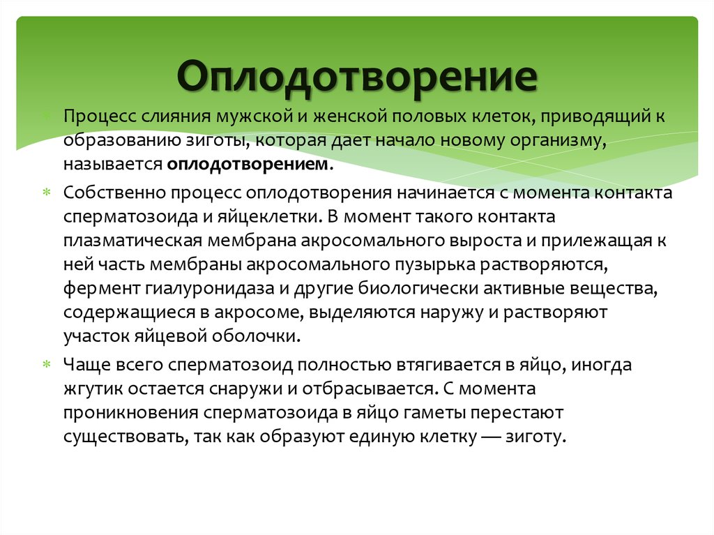 Слияние мужских и женских клеток. Процесс слияния мужской и женской клеток. Процессу оплодотворения способствует. Процесс слияния мужских и женских половых клеток называют. Процесс слияния мужской и женской гамет.