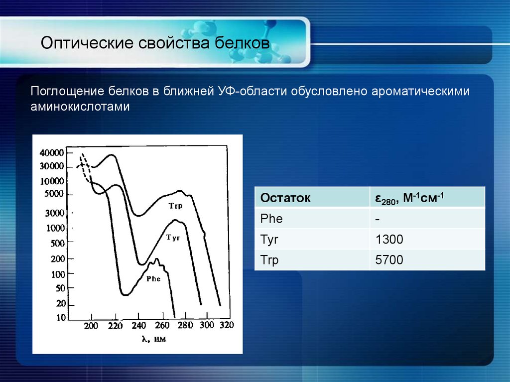 Оптические свойства. Оптические свойства белка. Оптические свойства белков. Оптическая активность белков. Поглощение белка.