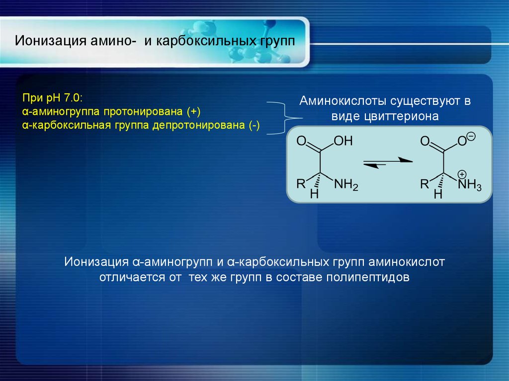 Аминокислоты аминогруппа карбоксильная группа. Протонированная форма аминокислоты. Аминогруппа и карбоксильная группа. Ионизированная форма аминокислот. Карбоксильная группа аминокислот.