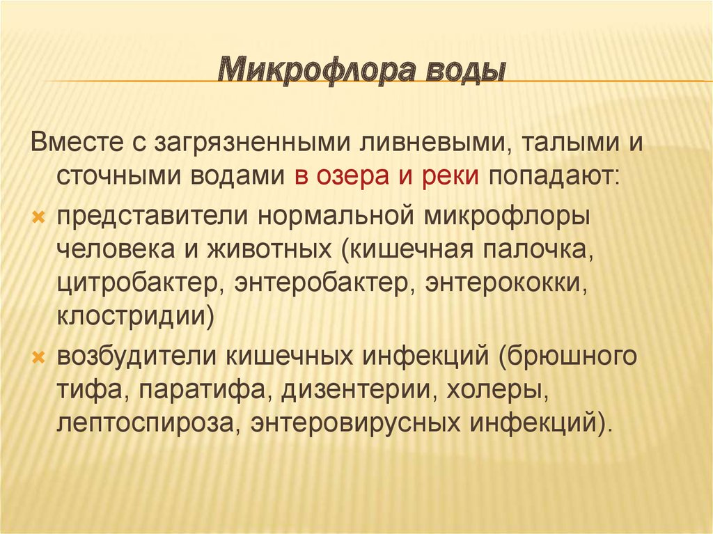 Микрофлора воды презентация