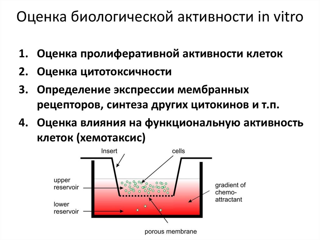 Биологическая оценка. Исследование биологической активности. Способы оценки активности клеток. Методы учёта биологической активности in vitro.