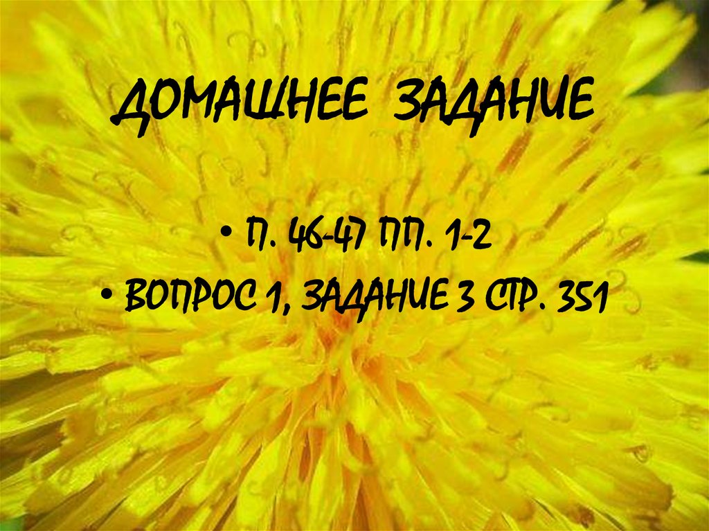 ДОМАШНЕЕ ЗАДАНИЕ