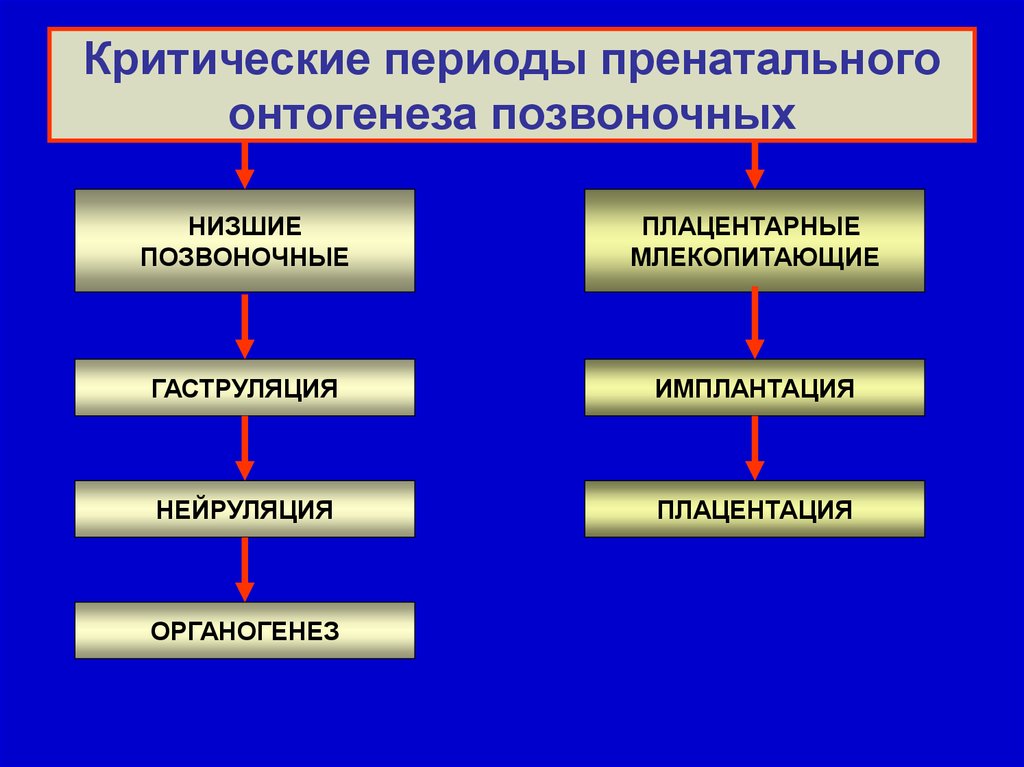 Что такое моторный онтогенез