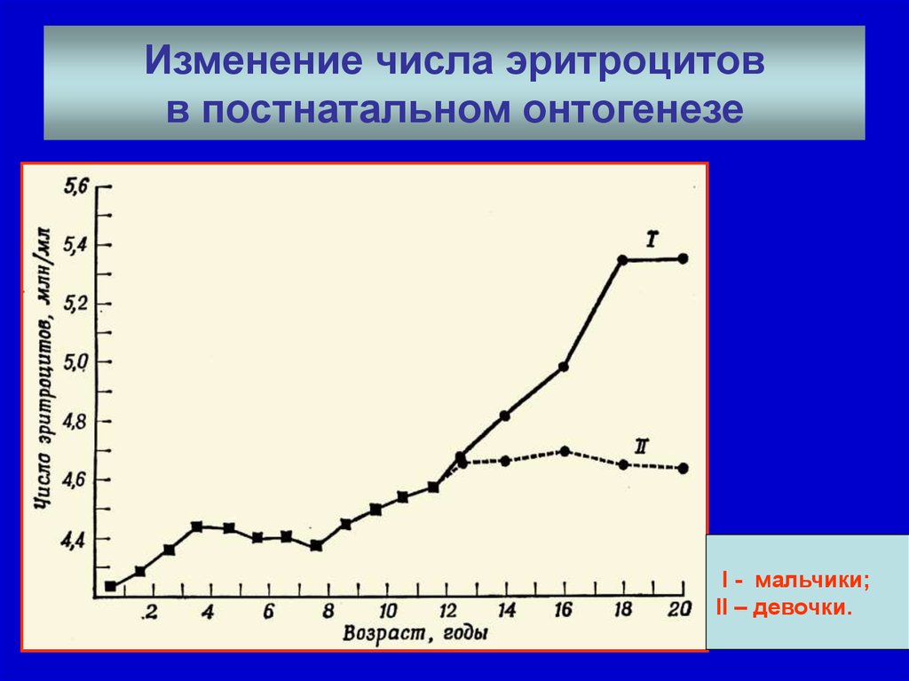 Изменение чисел. Абсолютные и относительные изменения числа эритроцитов.