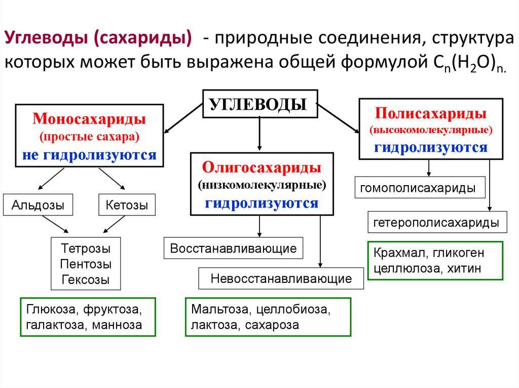 Схема 14 классификация углеводов