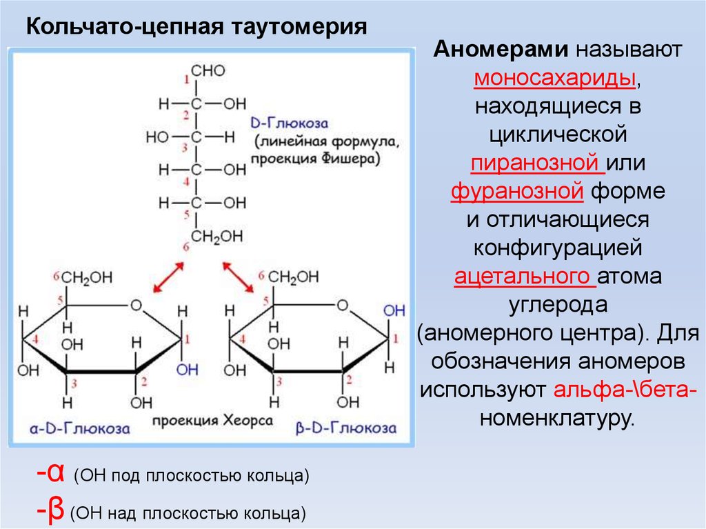 Схема таутомерных превращений