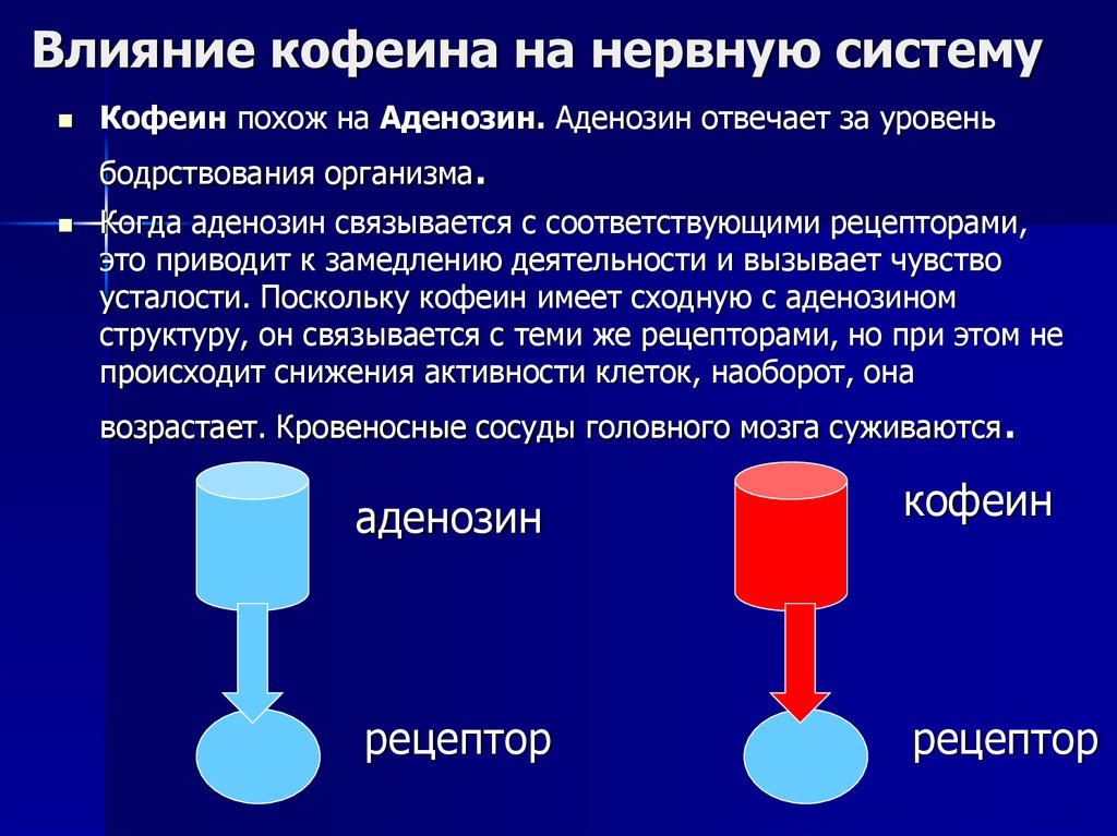 Презентация влияние кофе на организм