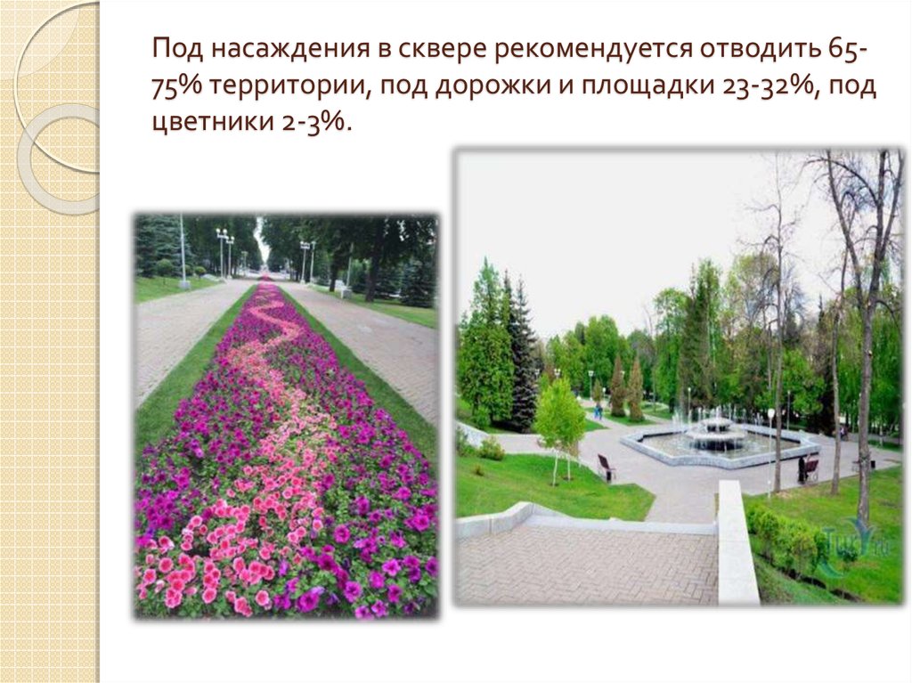 Под насаждения в сквере рекомендуется отводить 65-75% территории, под дорожки и площадки 23-32%, под цветники 2-3%.