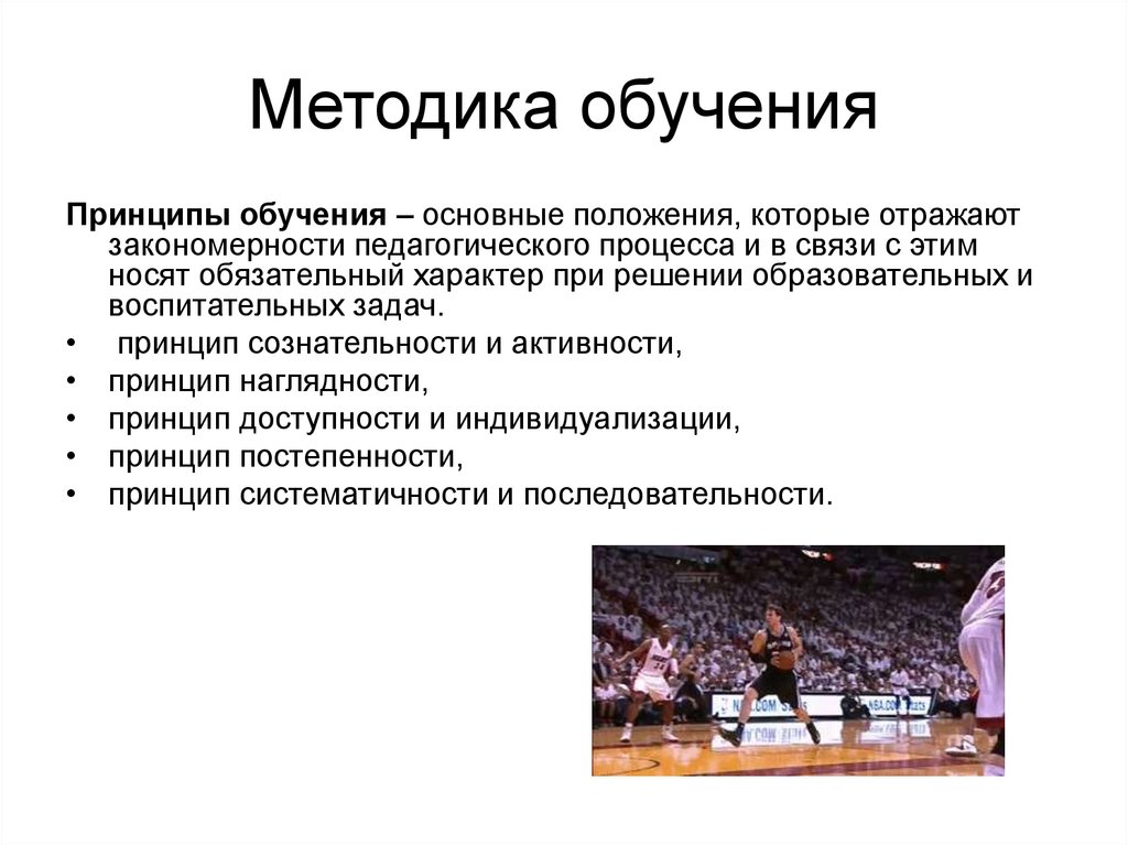 Методология спорта. Принципы обучения в спорте. Баскетбол методика преподавания. Принципы обучения баскетболу. Принципы обучения в спортивных играх.