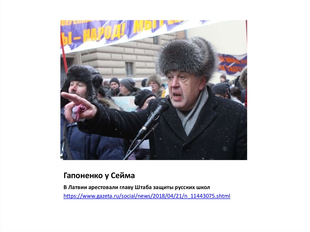 Гапоненко у Сейма